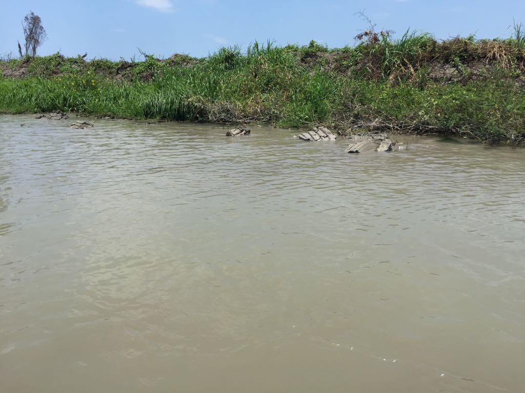 Necesario proyecto de dragado en laguna de Champayán