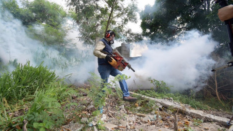 Refuerza labores de fumigación en Altamira