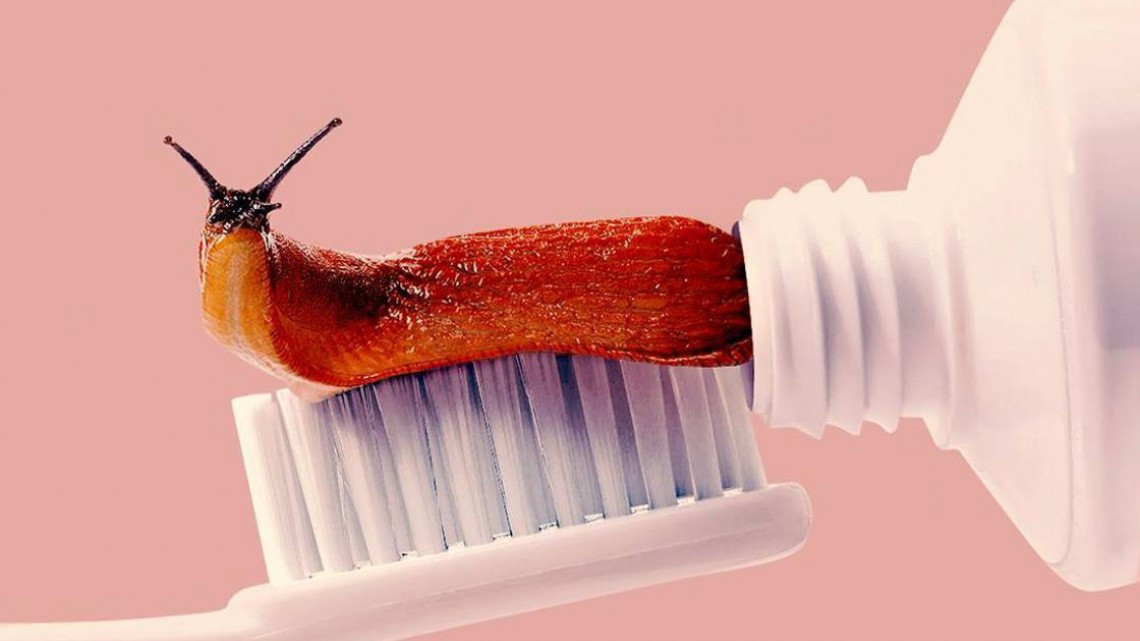 13 imágenes que engañarán a tu cerebro