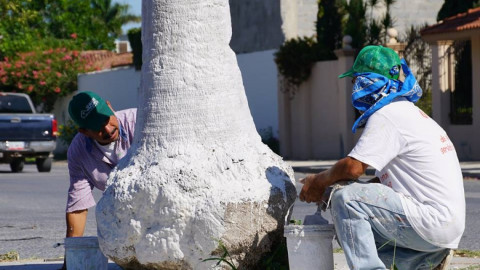 Servicios Primarios realiza labores en Avenida Las Américas