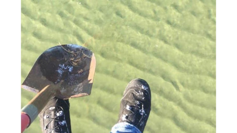 Debido a fenómeno natural, ¡camina sobre el agua!