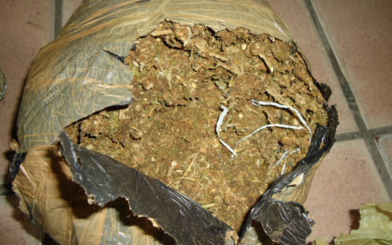 Hallan mariguana en camion de pasajeros con destino a Matamoros