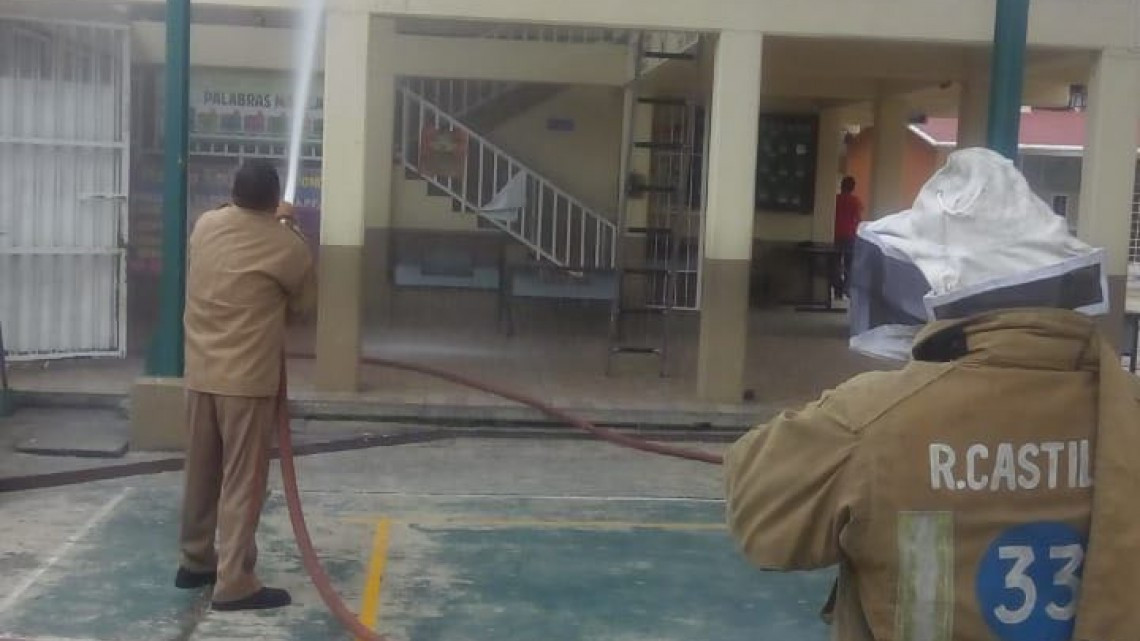 Abejas africanizadas causan terror en escuela primaria de Tampico