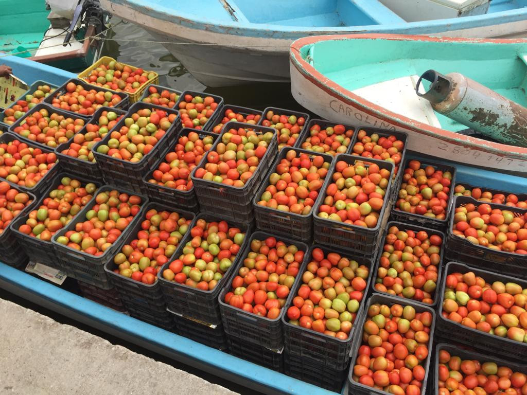 Productores del campo piden al gobierno federal ampliar el rango de apoyos