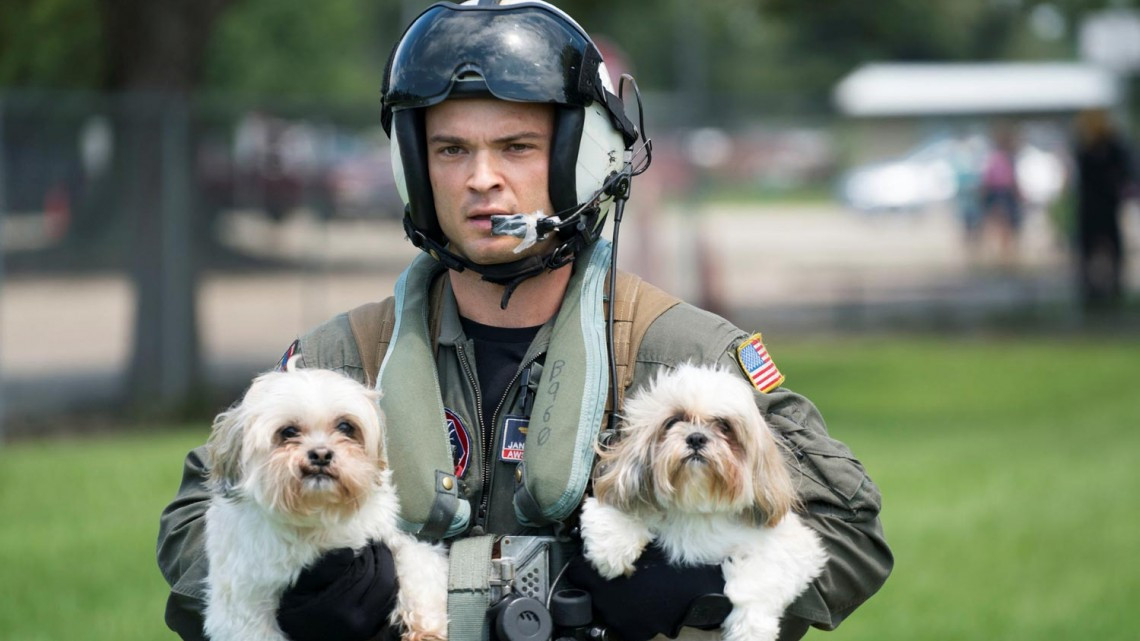Comienza EU rescate de mascotas victimas de ‘Harvey’