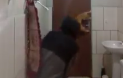 Viralizan video de joven y gato pescando rata