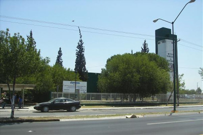 “Mister Tec”, primer certamen de belleza para hombres