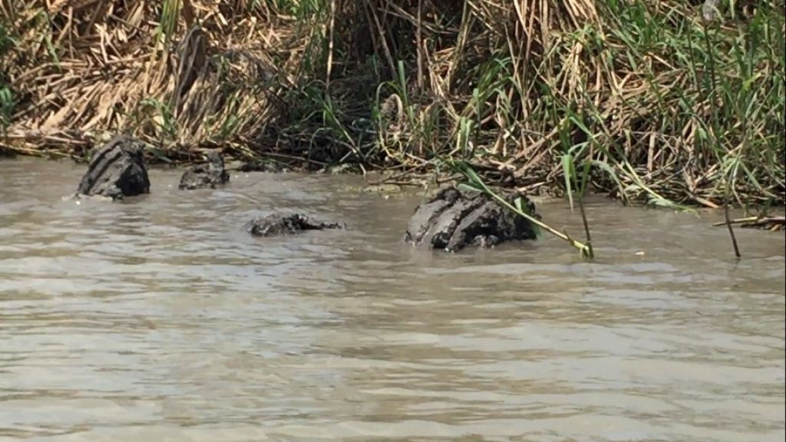Necesario proyecto de dragado en laguna de Champayán
