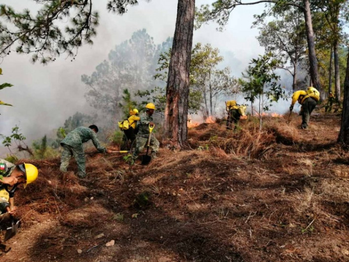 México cuenta con 50 incendios activos en 12 estados: Conafor
