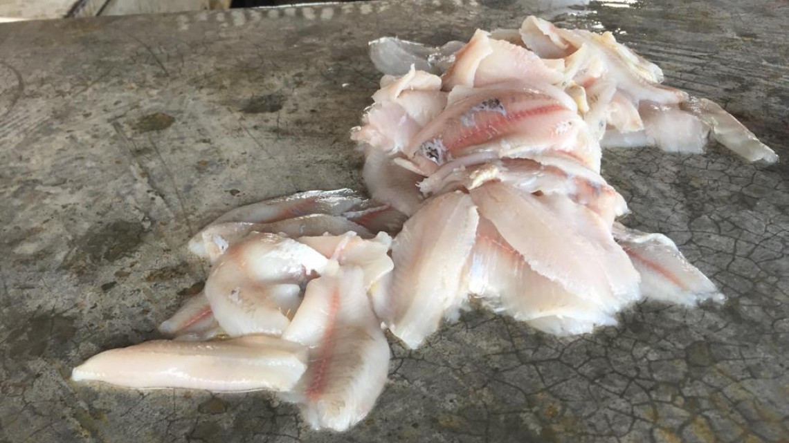 COEPRIS verifica que haya sanidad en el manejo de alimentos dentro del ambulantaje