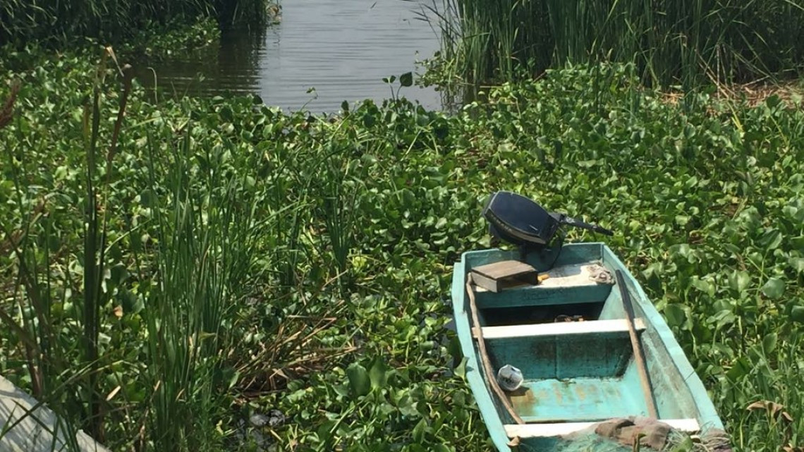 Fuerte explosión en medio del sistema lagunario alerta a vecinos ejidales