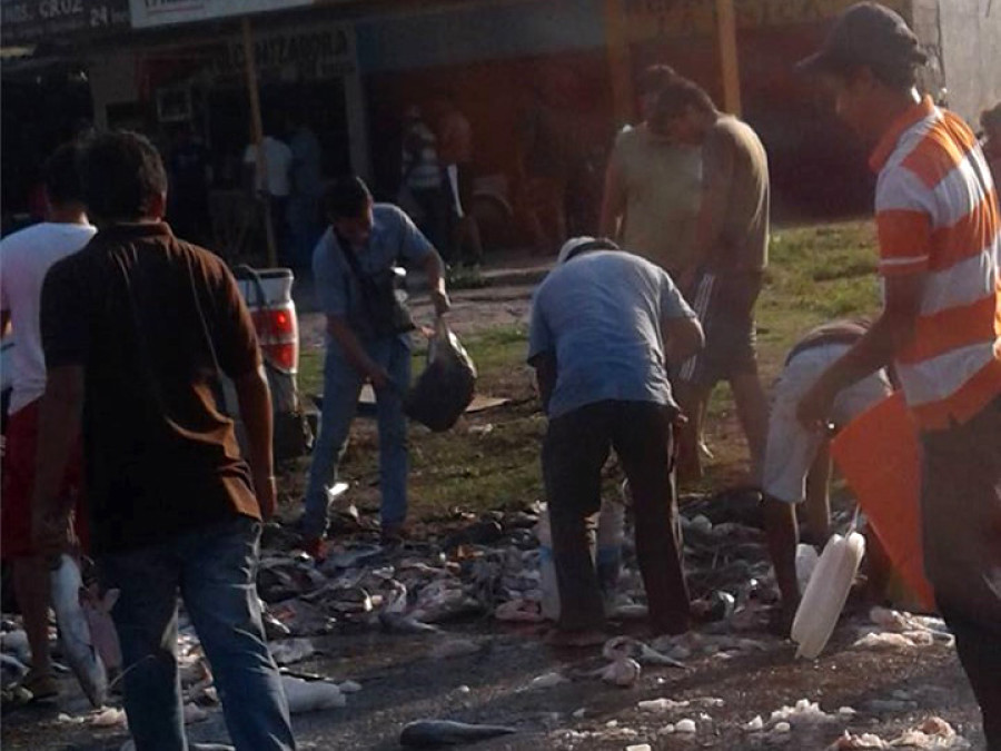 Vuelca camioneta con pescado, vecinos se lo roban