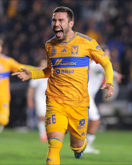 Tigres a la final 