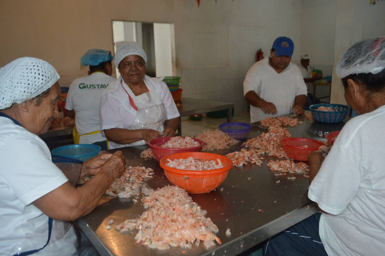 Despicadoras confían en que no se alargue más la veda en altamar