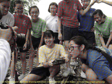 ¿Blanco y negro o a color? Conoce esta nueva ilusión óptica