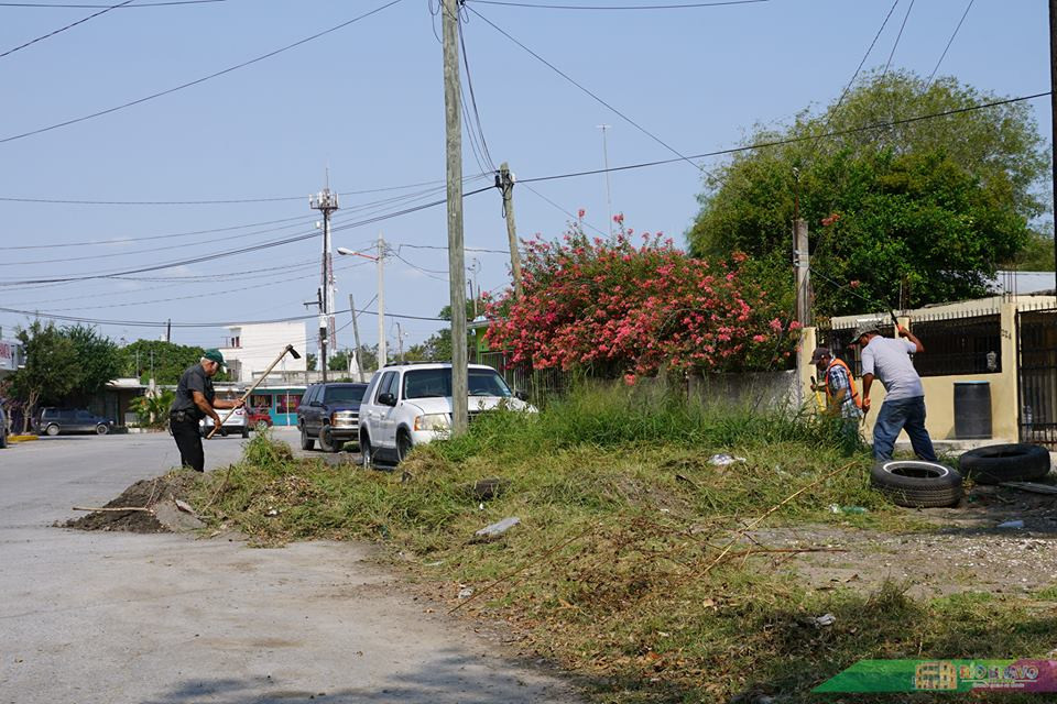 Labores de limpieza y mantenimiento son realizadas por la CSPP