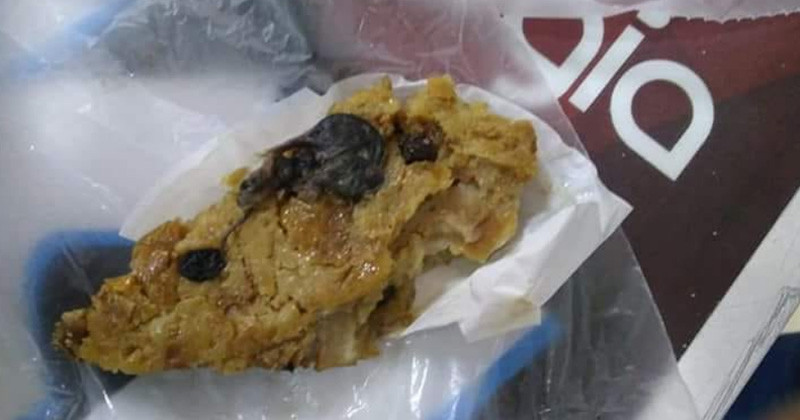 Denuncian rata muerta en pieza de pan