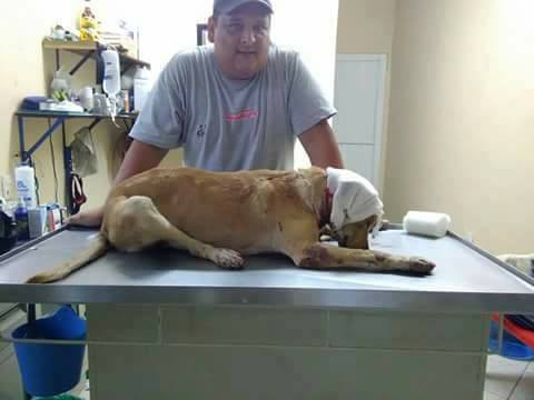 Capturan a agresor del 'Güerejo'