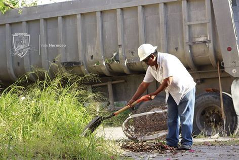 Levantan ramas que obstruían el paso