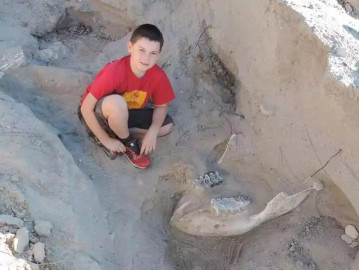 Encuentra niño nueva maravilla prehistórica