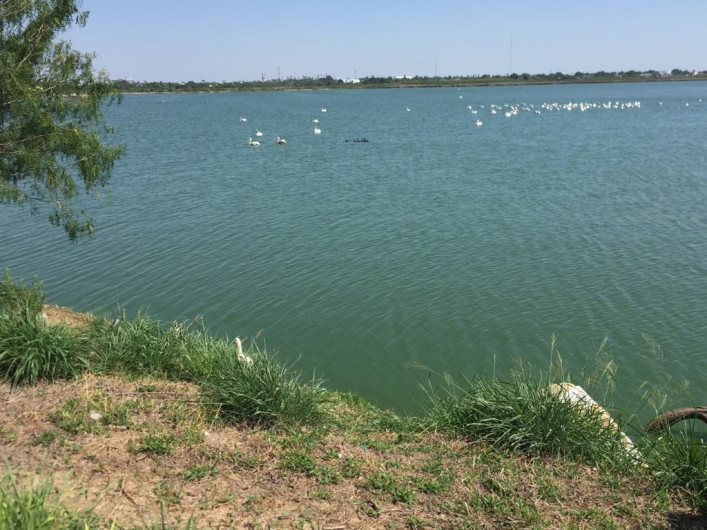 Comapa ha disminuido niveles de contaminación: Maki Ortiz