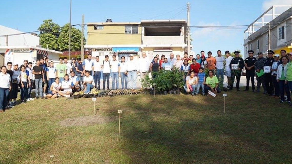 Reforesta Ayuntamiento áreas verdes de la Carmen Romano