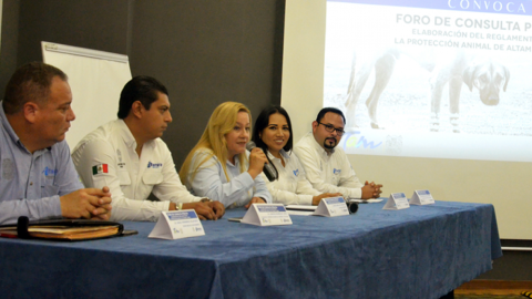 Encabeza Alcaldesa foro de consulta pública para reglamento de protección animal