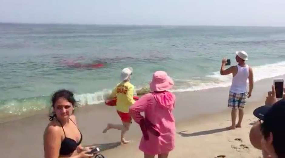 Surfistas escapan dramáticamente de ataque de tiburón