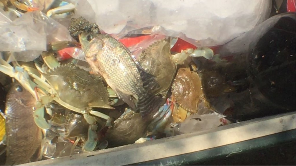 En crisis el campo por falta de lluvias