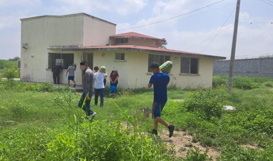 Adolescentes en conflicto con la Ley Penal siembran y cosechan sandías en huertos comunitarios