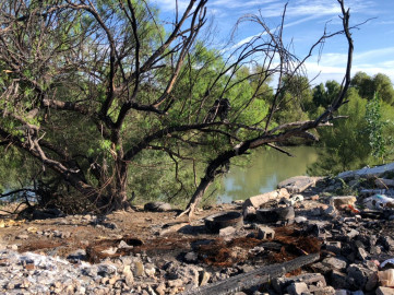 Convocan Rotarios a limpiar el Río Bravo 