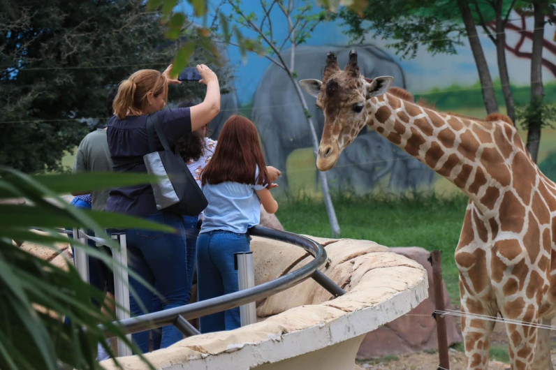 Prepara Zoológico Tamatán festejos por su 80 aniversario