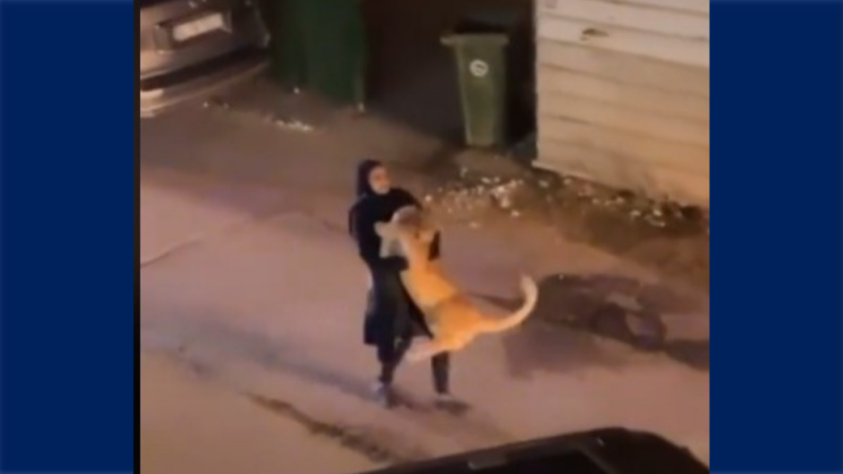 ¡Tremenda fuerza! Mujer carga sola a cachorro de león