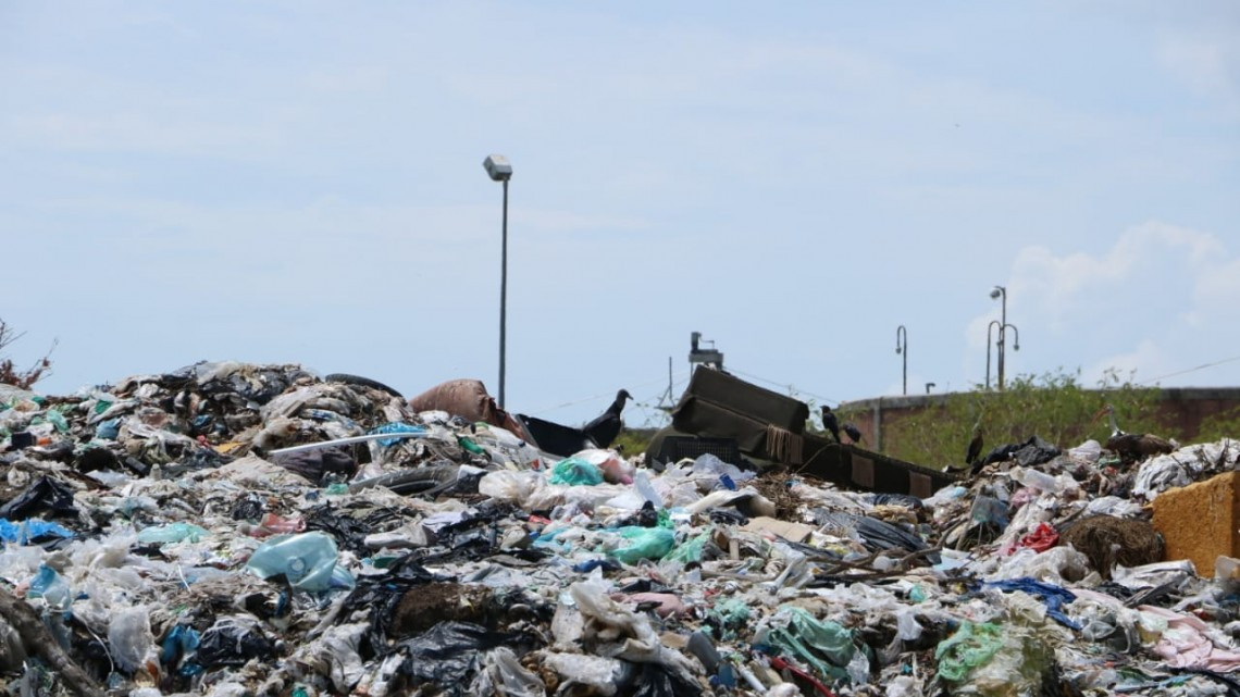 Clausuran tiradero clandestino a cielo abierto en Tampico