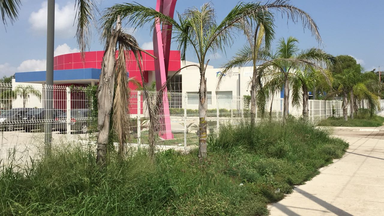 Invadido de maleza la Unidad Especializada en Cáncer de Mama de Tampico