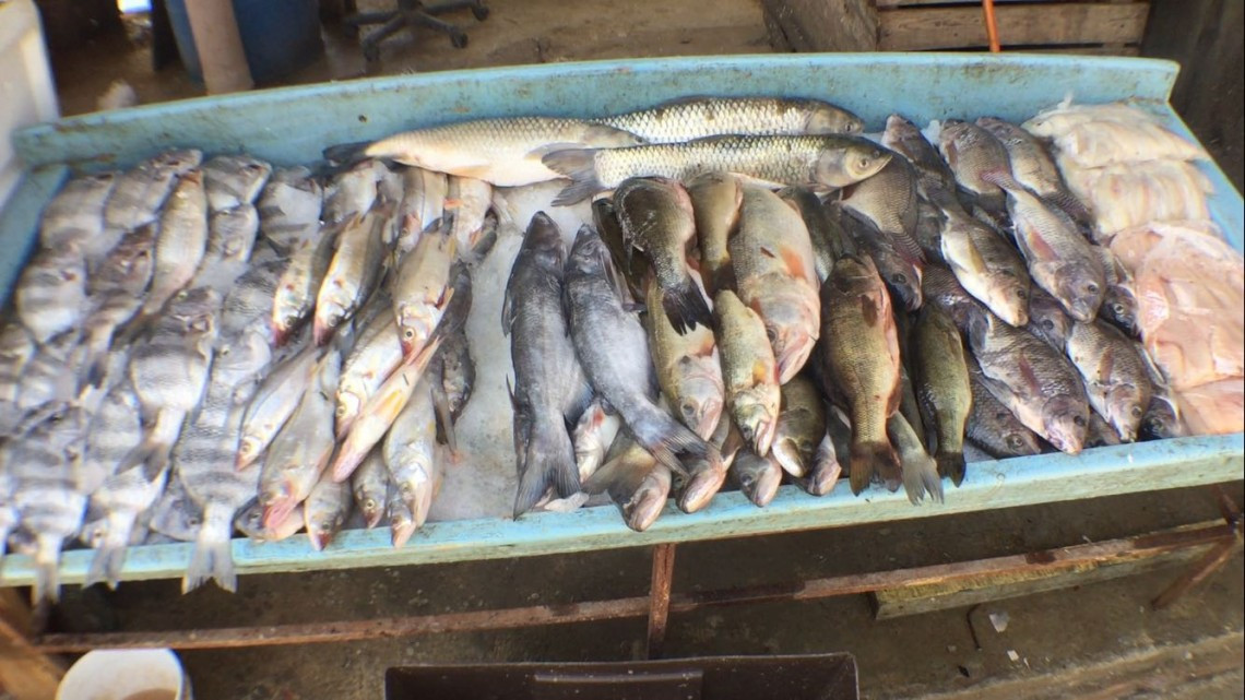 Mejoran las ventas en el mercado de mariscos