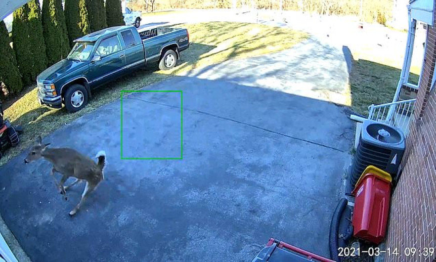 Ciervos sin control atacan un garaje sin aparente razón