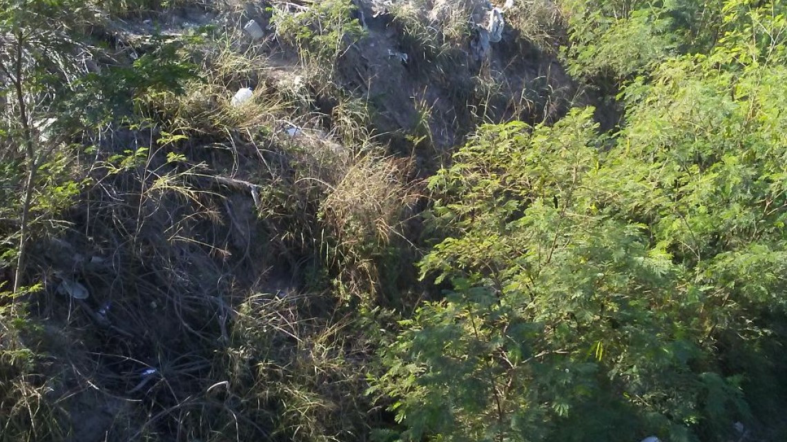 Recluta Reynosa Guardianes ambientales. Van contra "ecolocos"