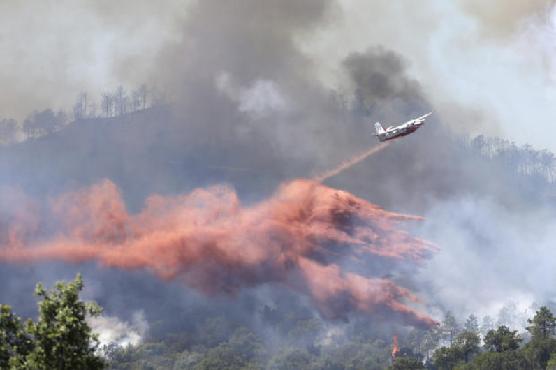 Bomberos logran controlar incendio en Francia