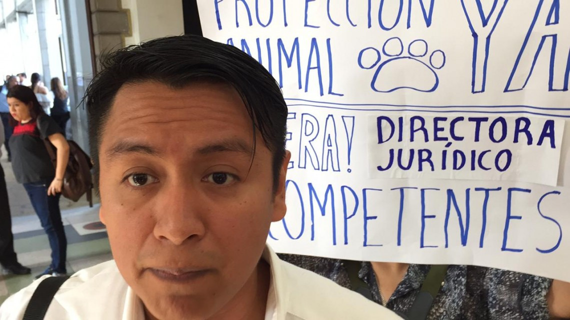 Denuncian ante Contraloría Tampico a pseudo veterinario 