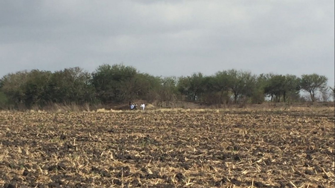 Existen variedad de felinos salvajes en Altamira
