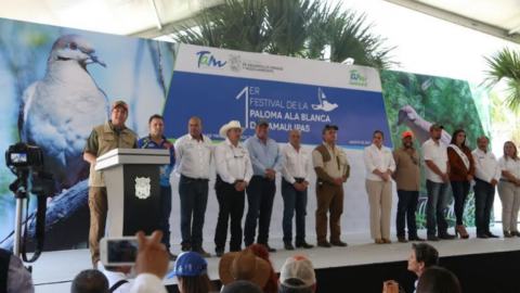 Inauguran primer Festival de la Paloma Ala Blanca de Tamaulipas