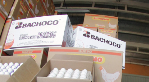 Empresa Bachoco retira productos en EU por contaminación con metal