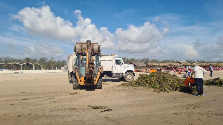 Contribuye Turismo con maquinaria para limpieza de lirio en playa Miramar