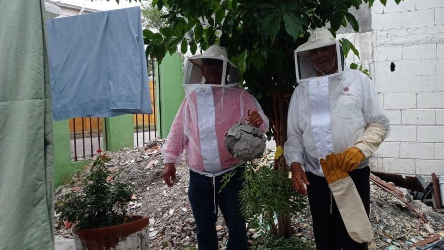 Apoya gobierno municipal emprendimiento de apicultores con enjambres rescatados