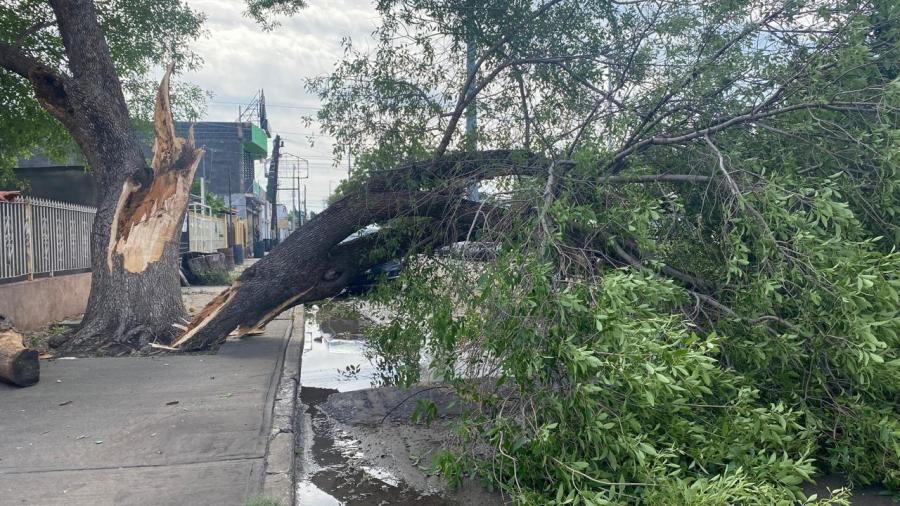 Siguen afectaciones por tormenta en Nuevo Laredo 