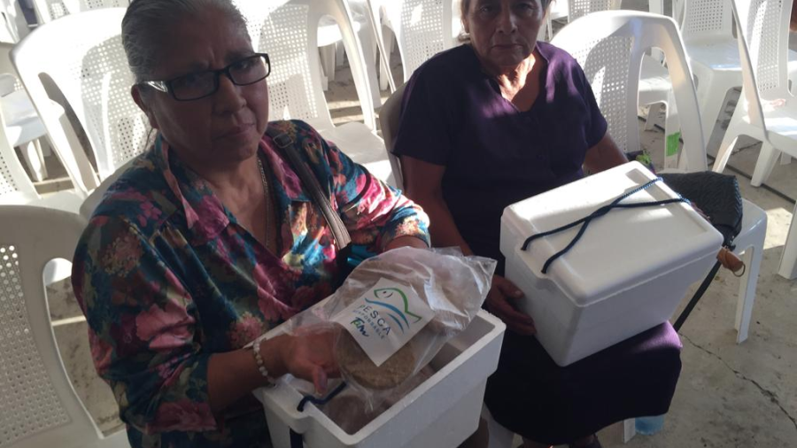 Avanza programa piloto de alimentación en Altamira