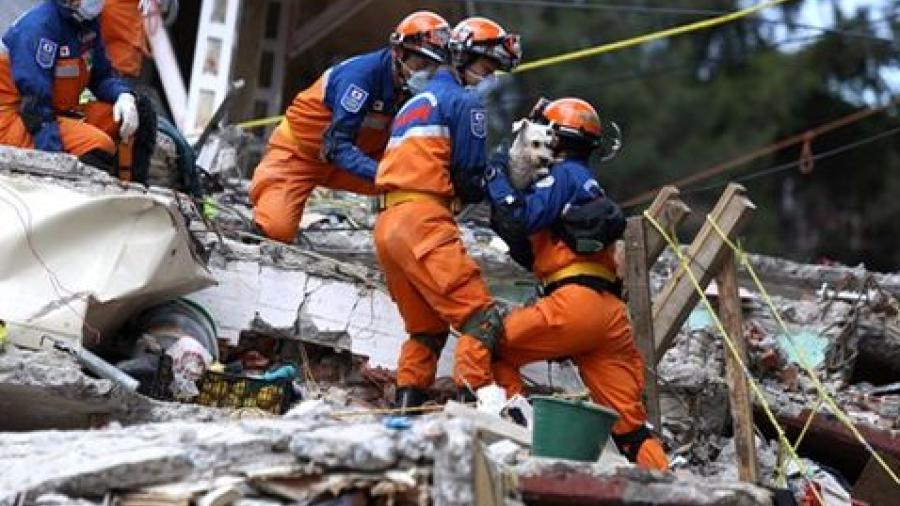 Equipo nipón concluye labores de rescate en México