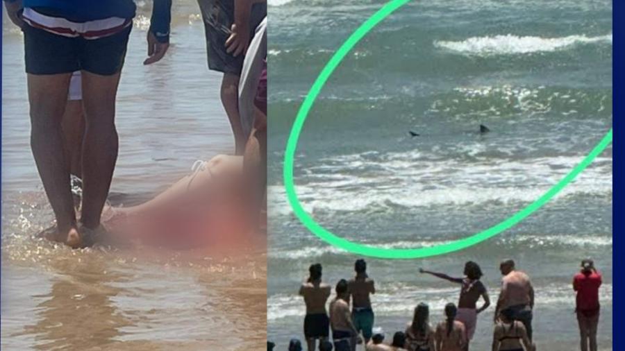 Reportan ataque de tiburón en Isla del Padre