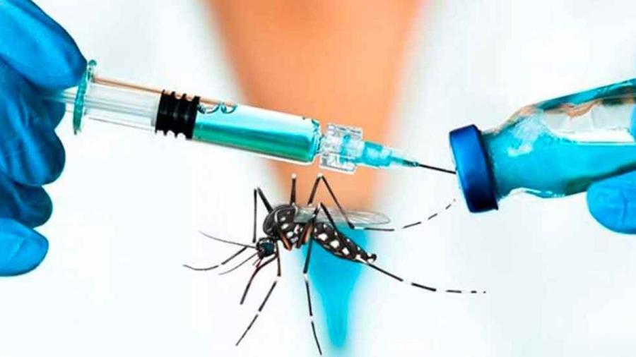 La vacuna contra la Chikunguña podrá suministrarse en Europa en 2024 